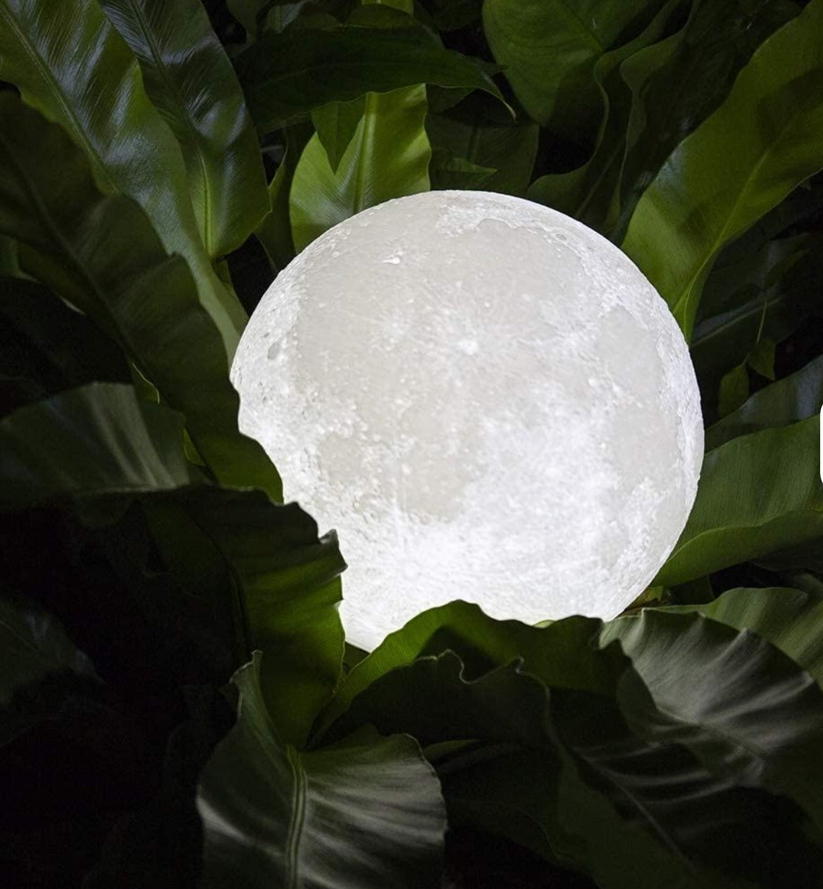Moon Lamp