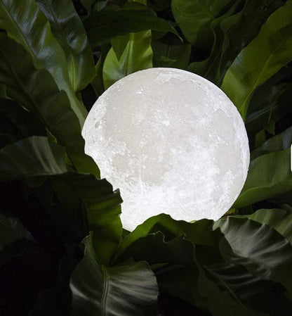 Moon Lamp